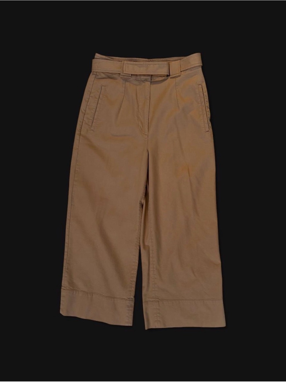 Banana Republic Women’s Pleated Cropped Wide-Leg Chinos in Camel